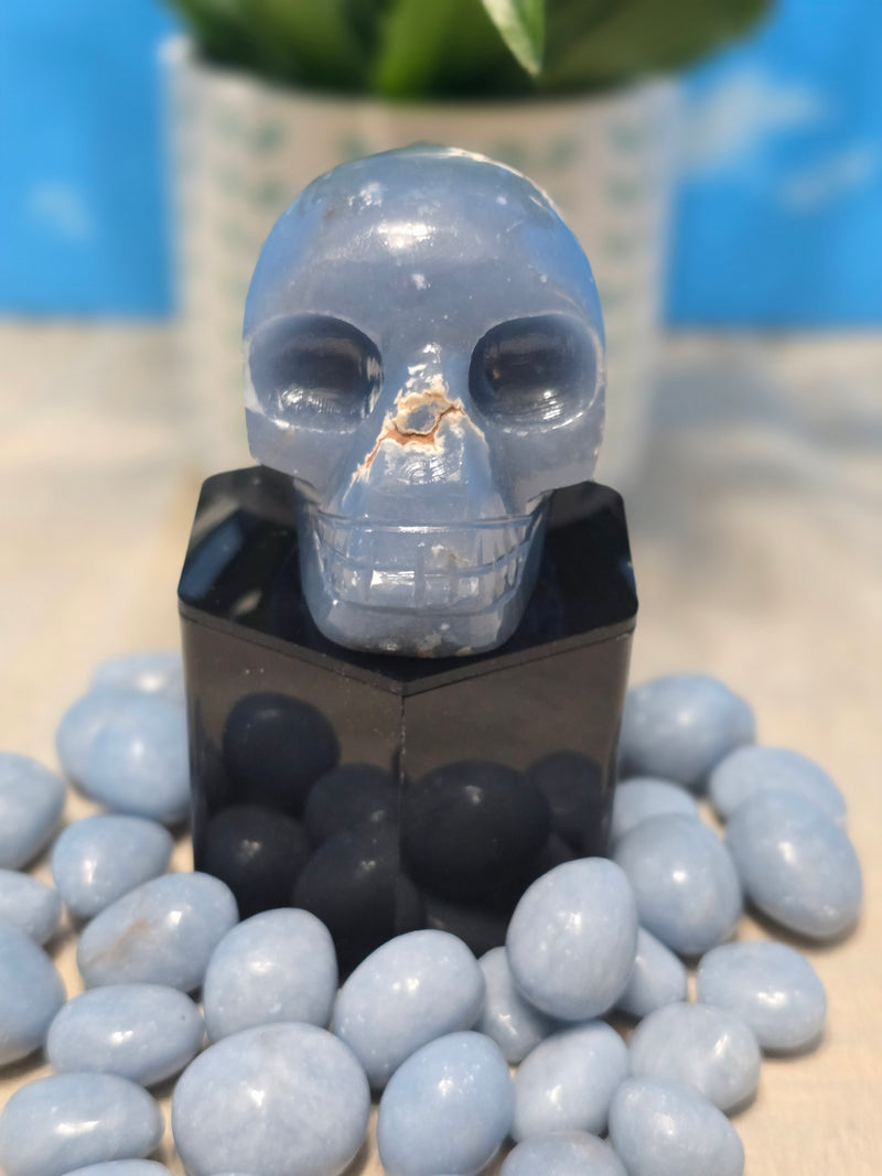 Angelite Skull Carving