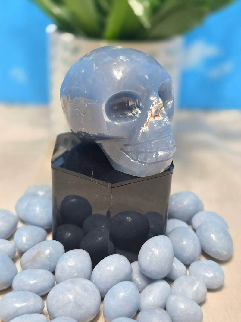 Angelite Skull Carving