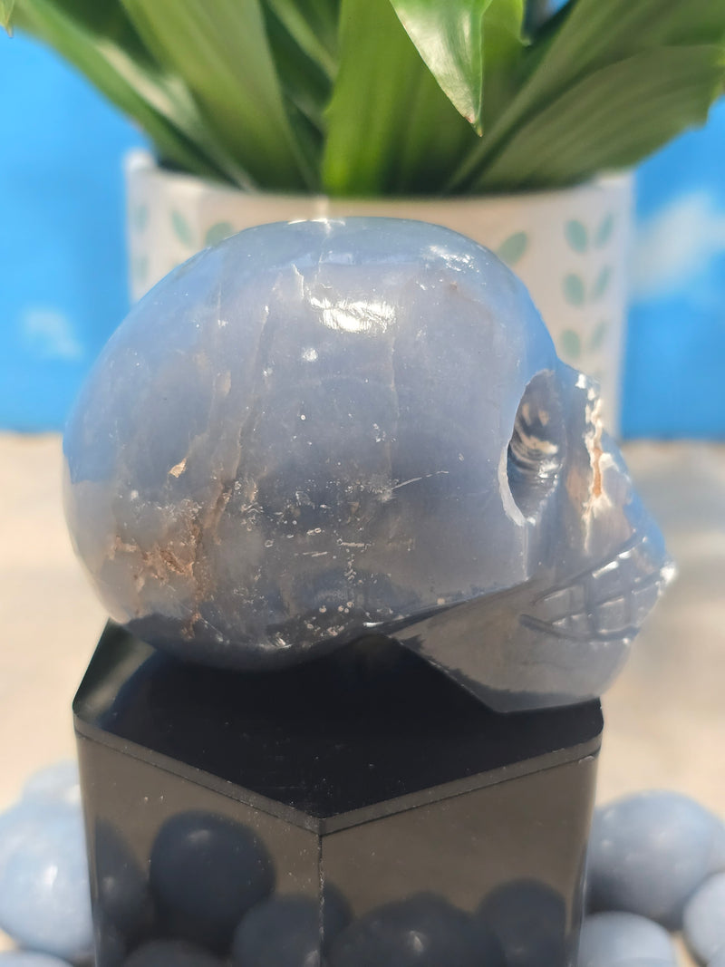 Angelite Skull Carving