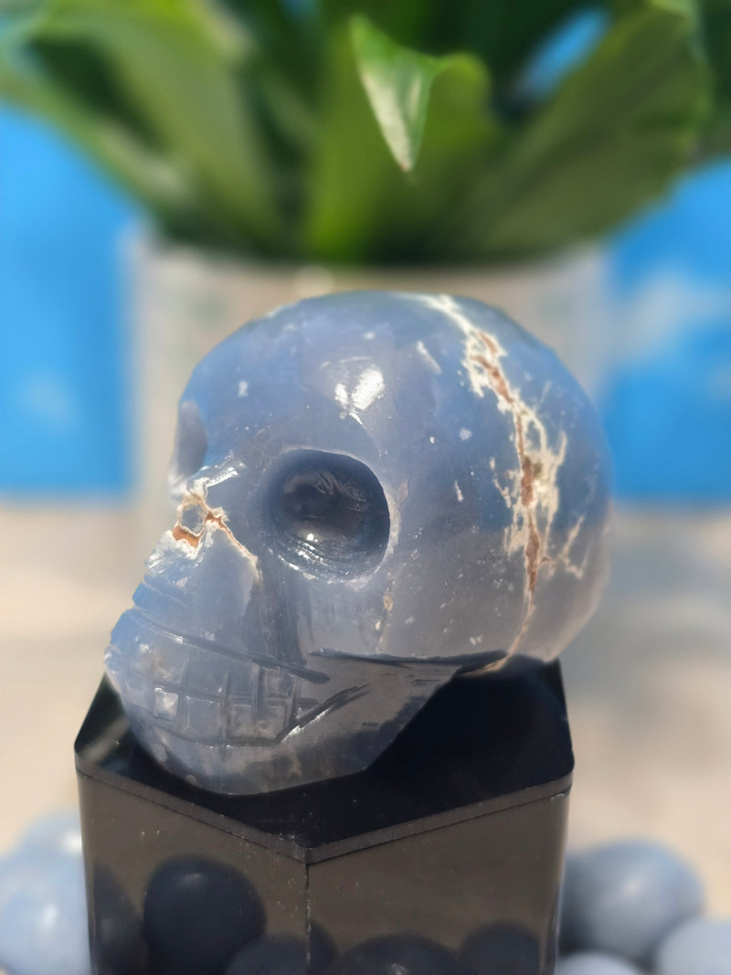 Angelite Skull Carving