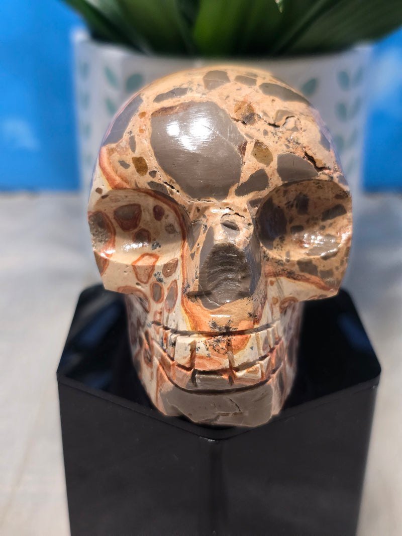 Leopardite Skull Carving