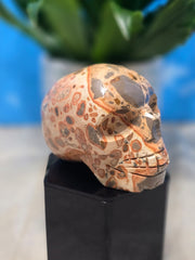 Leopardite Skull Carving