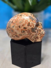 Leopardite Skull Carving