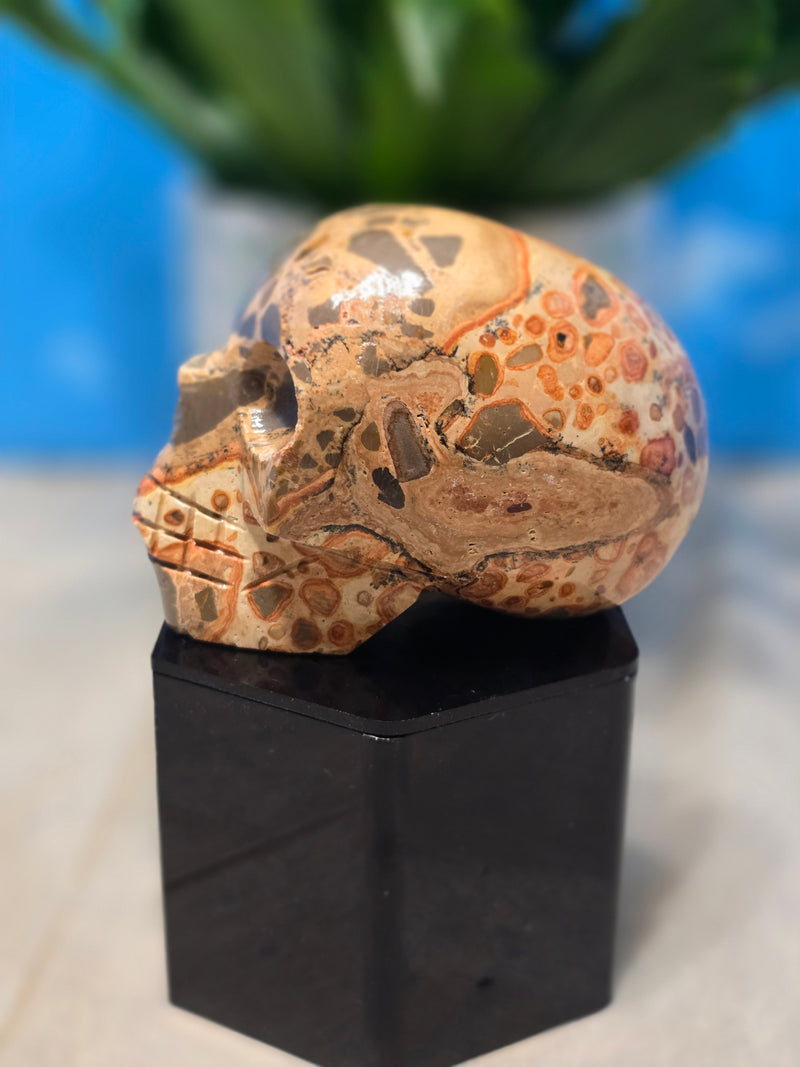 Leopardite Skull Carving