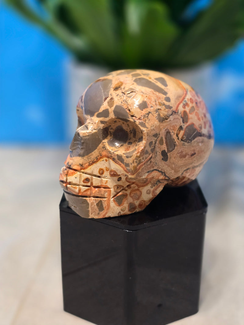 Leopardite Skull Carving