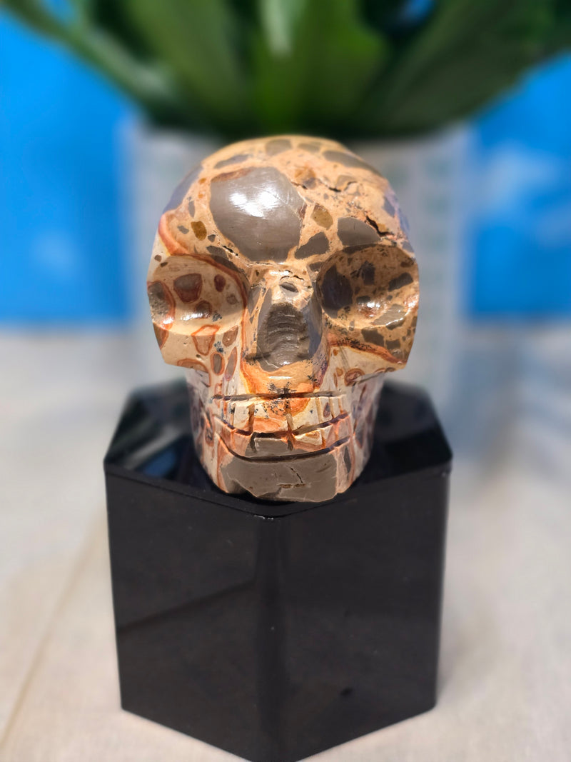 Leopardite Skull Carving