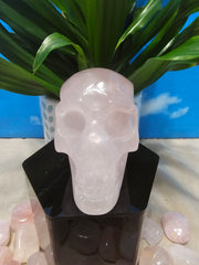 Rose Quartz Skull Carving